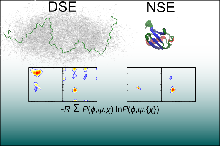 Conformational Entropy