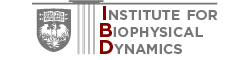 Institute for Biophysical Dynamics